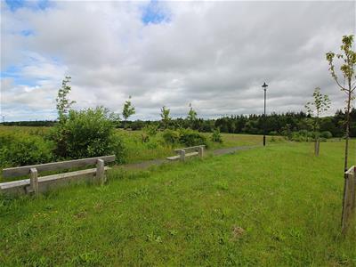 Picture 36
